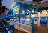 Divi Flamingo Beach Resort & Casino foto 8