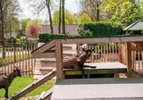 De Achterhoek foto 14