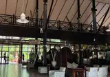 Senegambia Beach Hotel foto 16