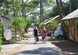 Les Pins D Oléron foto 12