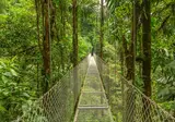 21-daagse rondreis Puur Costa Rica met Corcovado foto 3
