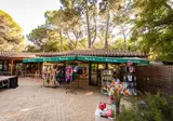 Camping La Sousta foto 10