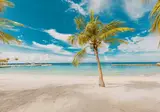 Blue Bay Lodges foto 16
