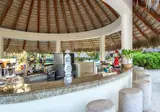 Dreams Royal Beach Punta Cana foto 22