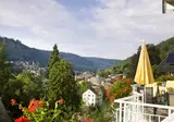 Hotel Rothfuss foto 40