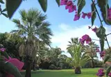 La Villa foto 23