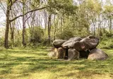 Park De Zeegser Duinen foto 17