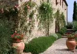 Tenuta Sant'Ilario foto 2