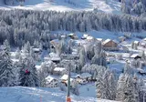 Hotel Alpina Parpan foto 2