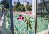 Al Sole Terme foto 28