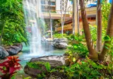 Hyatt Regency Waikiki Beach Resort & Spa foto 21