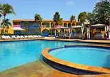 Divi Flamingo Beach Resort & Casino foto 20