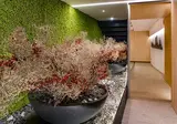 Hotel Alhambra foto 11