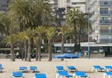 El Palmeral foto 10