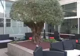 Hotel Carpi foto 8