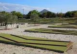 Asteras Paradise Hotel foto 18