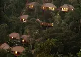 Nandini Jungle by Hanging Gardens foto 1