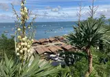 Camping Bassin D Arcachon foto 17