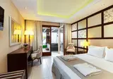 Theartemis Palace foto 29