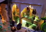 Riad Armelle foto 7