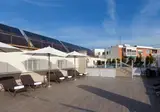 Porcel Ganivet foto 16