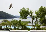 Lichnos Beach Hotel & Suites foto 10