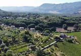 Tenuta Madonnina foto 30