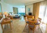 Hotel Vincci Saphir Palace & Spa foto 13
