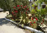 Asteris Village foto 28