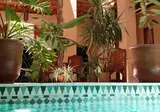 Riad Al Ksar & Spa foto 18