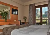 Grand Meteora Hotel foto 6