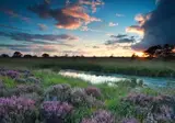 Bed en Breakfast Annen foto 18
