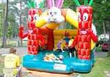 Oostappen Vakantiepark Arnhem foto 12