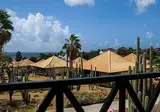 Papagayo Beach Resort foto 22