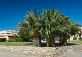 Myo Hotel Stelle Marine foto 16