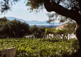 Lesante Cape - The Leading Hotels of the World foto 21