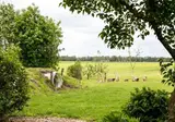 De Johanneshoeve foto 2
