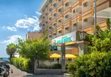 Palm Hotel foto 25