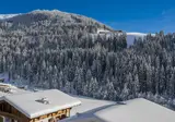 Hotel Alphof foto 9