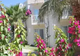 Fly & Go Explore Viras Hotel foto 10