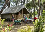 Flower Camping Tamarins Plage foto 12