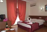 Stella foto 16