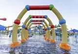 Pickalbatros Jungle Aqua Park by Neverland foto 7