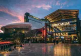Park MGM Las Vegas foto 15