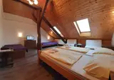 Hotel Olga foto 6