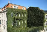 As Janelas Verdes foto 6