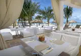 Divi Aruba Phoenix Beach Resort foto 29