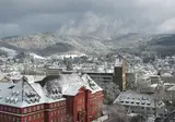 Kerst tussen de Elzas en Zwitserland, Mulhouse foto 8