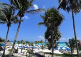 The Reef Playacar Beach Resort & Spa foto 21