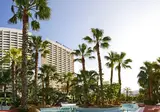 Meliá Benidorm foto 22